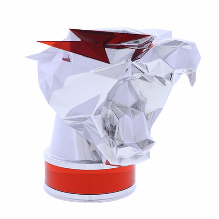 Ruby Play Button award